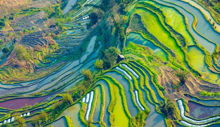 宝妈必备神器：都江堰产品视频拍摄轻松育儿好帮手