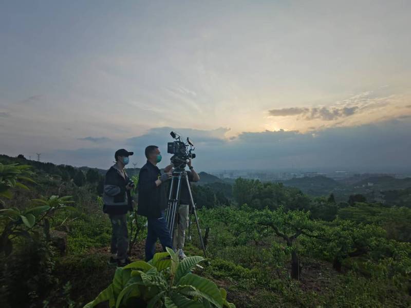 创意破圈！都江堰电商产品宣传视频用故事化叙事引爆流量