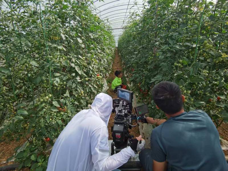 都江堰产品宣传视频拍摄公司进阶指南，助力品牌抢占传播高地